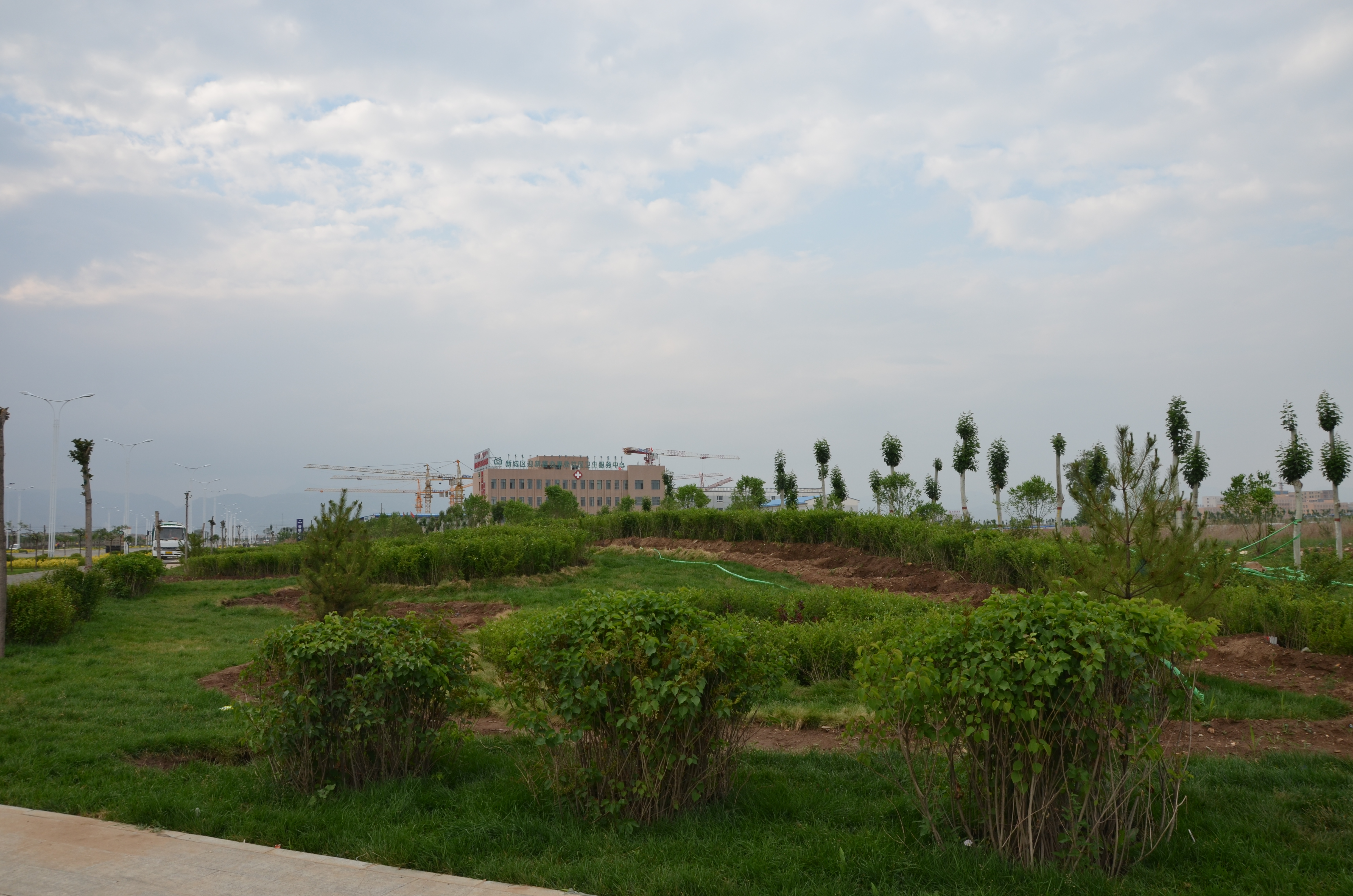 DSC_4931.jpg DSC_4931.jpg