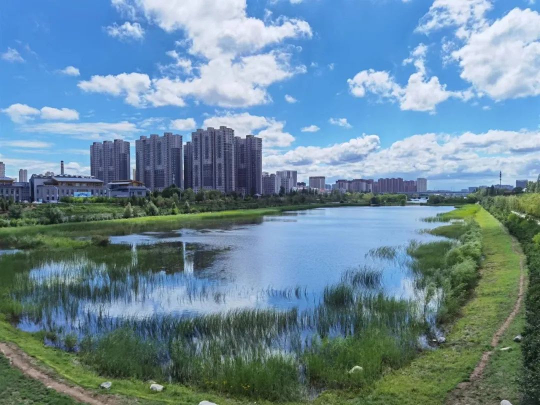 微信圖片_20230203110739.jpg 微信圖片_20230203110739.jpg